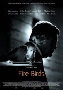 Fire Birds  CICLO 